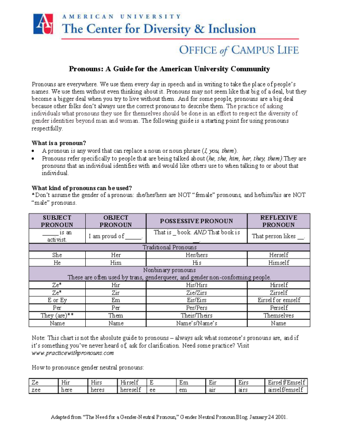 American University Pronouns_Page_1